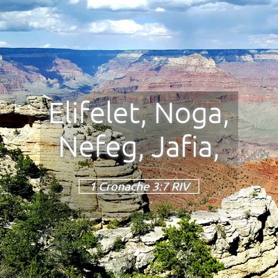 Picture 05 - 1 Cronache 3:7 RIV - Elifelet, Noga, Nefeg, - Bible Verse Picture