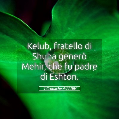 Picture 05 - 1 Cronache 4:11 RIV - Kelub, fratello di Shuha generò Mehir, che fu - Bible Verse Picture