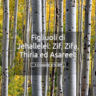 Picture 05 - 1 Cronache 4:16 RIV - Figliuoli di Jehallelel: Zif, Zifa, Thiria ed - Bible Verse Picture