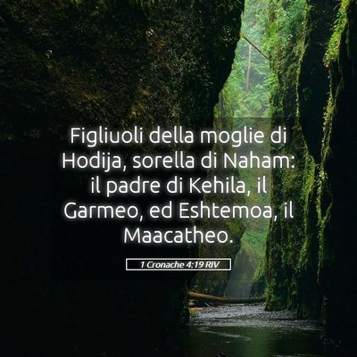 Picture 05 - 1 Cronache 4:19 RIV - Figliuoli della moglie di Hodija, sorella di - Bible Verse Picture