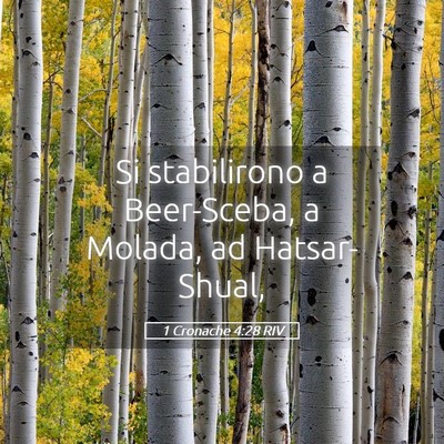 Picture 05 - 1 Cronache 4:28 RIV - Si stabilirono a Beer-Sceba, a Molada, ad - Bible Verse Picture