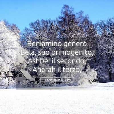 Picture 05 - 1 Cronache 8:1 RIV - Beniamino generò Bela, suo primogenito, Ashbel - Bible Verse Picture