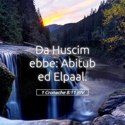 Picture 05 - 1 Cronache 8:11 RIV - Da Huscim ebbe: Abitub ed - Bible Verse Picture