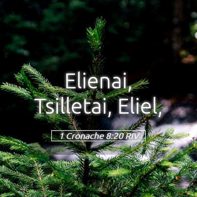 Picture 05 - 1 Cronache 8:20 RIV - Elienai, Tsilletai, - Bible Verse Picture