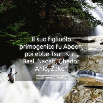 Picture 05 - 1 Cronache 8:30 RIV - Il suo figliuolo primogenito fu Abdon; poi ebbe - Bible Verse Picture
