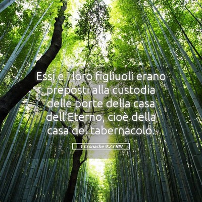 Picture 05 - 1 Cronache 9:23 RIV - Essi e i loro figliuoli erano preposti alla - Bible Verse Picture