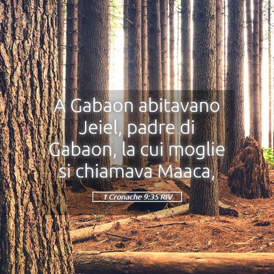 Picture 05 - 1 Cronache 9:35 RIV - A Gabaon abitavano Jeiel, padre di Gabaon, la cui - Bible Verse Picture