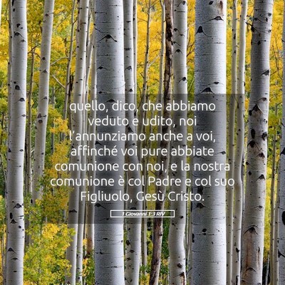 Picture 05 - 1 Giovanni 1:3 RIV - quello, dico, che abbiamo veduto e udito, noi - Bible Verse Picture