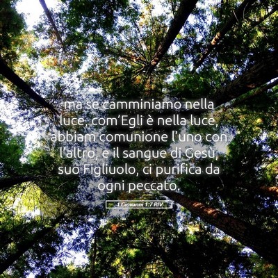Picture 05 - 1 Giovanni 1:7 RIV - ma se camminiamo nella luce, com’Egli è nella - Bible Verse Picture