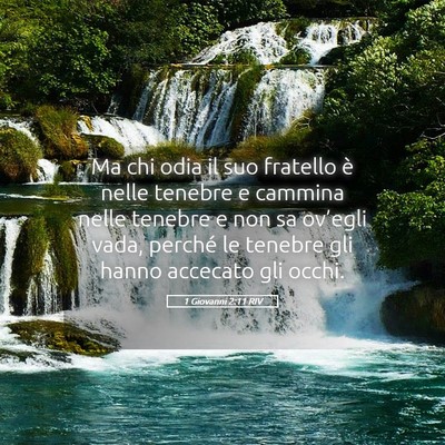 Picture 05 - 1 Giovanni 2:11 RIV - Ma chi odia il suo fratello è nelle tenebre e - Bible Verse Picture