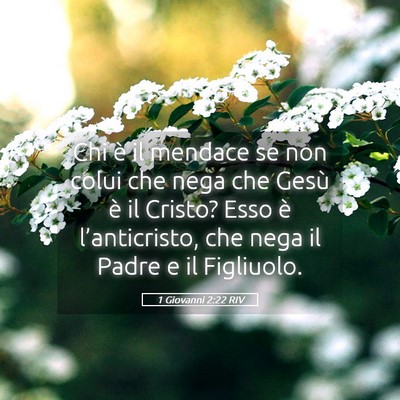 Picture 05 - 1 Giovanni 2:22 RIV - Chi è il mendace se non colui che nega che Gesù - Bible Verse Picture