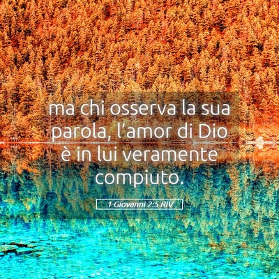 Picture 05 - 1 Giovanni 2:5 RIV - ma chi osserva la sua parola, l’amor di Dio è - Bible Verse Picture
