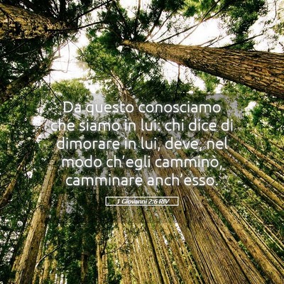 Picture 05 - 1 Giovanni 2:6 RIV - Da questo conosciamo che siamo in lui: chi dice - Bible Verse Picture