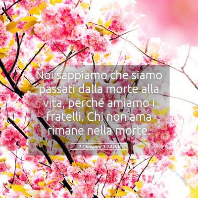 Picture 05 - 1 Giovanni 3:14 RIV - Noi sappiamo che siamo passati dalla morte alla - Bible Verse Picture