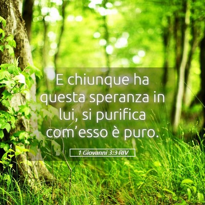 Picture 05 - 1 Giovanni 3:3 RIV - E chiunque ha questa speranza in lui, si purifica - Bible Verse Picture