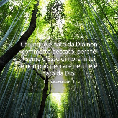Picture 05 - 1 Giovanni 3:9 RIV - Chiunque è nato da Dio non commette peccato, - Bible Verse Picture