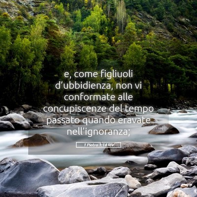 Picture 05 - 1 Pietro 1:14 RIV - e, come figliuoli d’ubbidienza, non vi - Bible Verse Picture