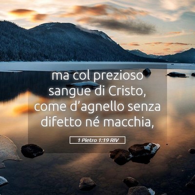 Picture 05 - 1 Pietro 1:19 RIV - ma col prezioso sangue di Cristo, come - Bible Verse Picture