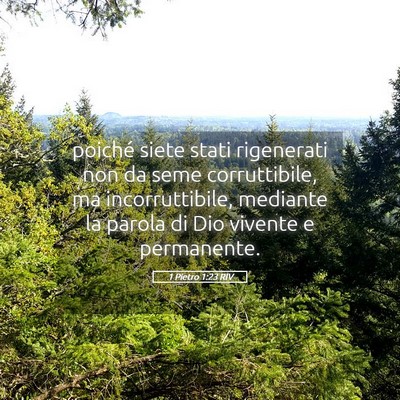 Picture 05 - 1 Pietro 1:23 RIV - poiché siete stati rigenerati non da seme - Bible Verse Picture