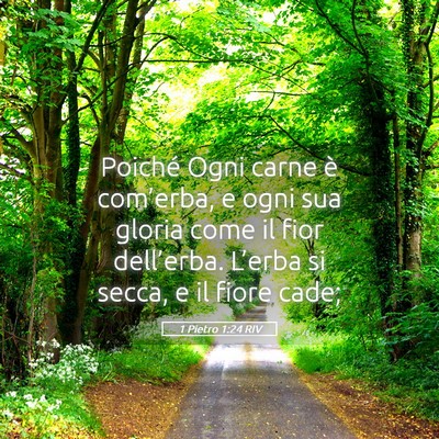 Picture 05 - 1 Pietro 1:24 RIV - Poiché Ogni carne è com’erba, e ogni sua - Bible Verse Picture