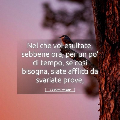 Picture 05 - 1 Pietro 1:6 RIV - Nel che voi esultate, sebbene ora, per un po’ - Bible Verse Picture