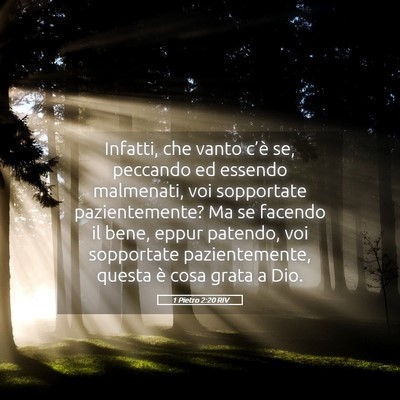 Picture 05 - 1 Pietro 2:20 RIV - Infatti, che vanto c’è se, peccando ed essendo - Bible Verse Picture