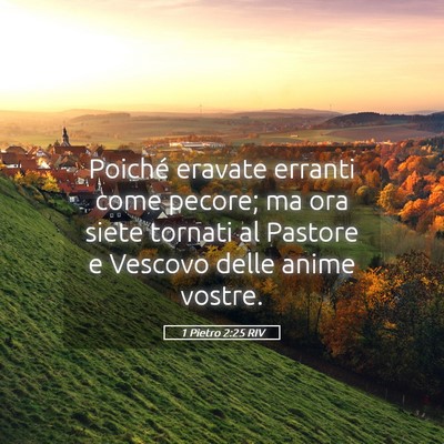 Picture 05 - 1 Pietro 2:25 RIV - Poiché eravate erranti come pecore; ma ora siete - Bible Verse Picture