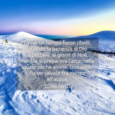 Picture 05 - 1 Pietro 3:20 RIV - i quali un tempo furon ribelli, quando la - Bible Verse Picture