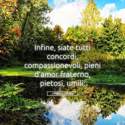 Picture 05 - 1 Pietro 3:8 RIV - Infine, siate tutti concordi, compassionevoli, - Bible Verse Picture