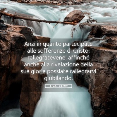 Picture 05 - 1 Pietro 4:13 RIV - Anzi in quanto partecipate alle sofferenze di - Bible Verse Picture