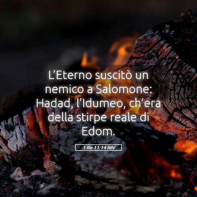 Picture 05 - 1 Re 11:14 RIV - L’Eterno suscitò un nemico a Salomone: Hadad, - Bible Verse Picture