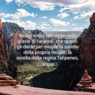 Picture 05 - 1 Re 11:19 RIV - Hadad entrò talmente nelle grazie di Faraone, - Bible Verse Picture
