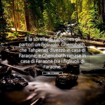 Picture 05 - 1 Re 11:20 RIV - E la sorella di Tahpenes gli partorì un - Bible Verse Picture