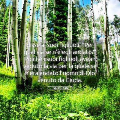 Picture 05 - 1 Re 13:12 RIV - disse ai suoi figliuoli: “Per qual via se - Bible Verse Picture
