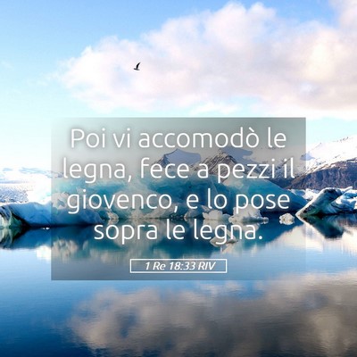 Picture 05 - 1 Re 18:33 RIV - Poi vi accomodò le legna, fece a pezzi il - Bible Verse Picture