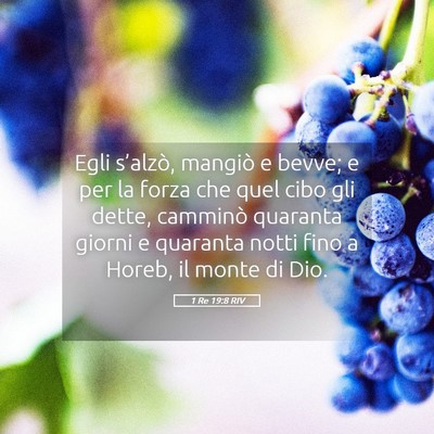 Picture 05 - 1 Re 19:8 RIV - Egli s’alzò, mangiò e bevve; e per la forza - Bible Verse Picture