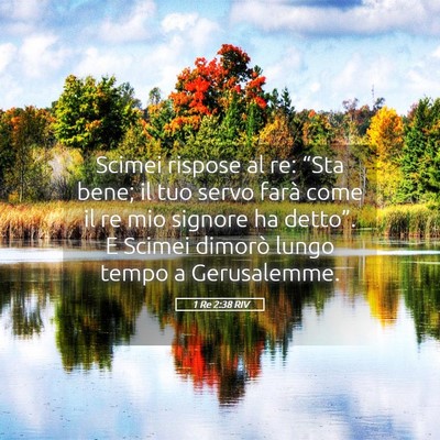 Picture 05 - 1 Re 2:38 RIV - Scimei rispose al re: “Sta bene; il tuo servo - Bible Verse Picture
