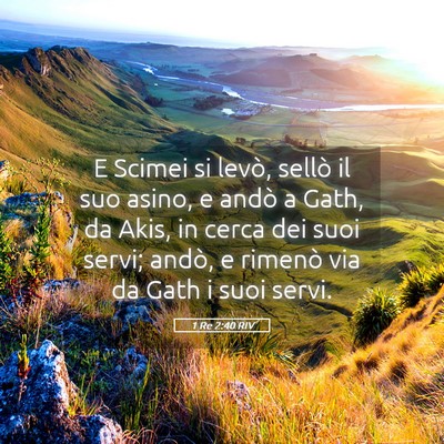 Picture 05 - 1 Re 2:40 RIV - E Scimei si levò, sellò il suo asino, e andò a - Bible Verse Picture