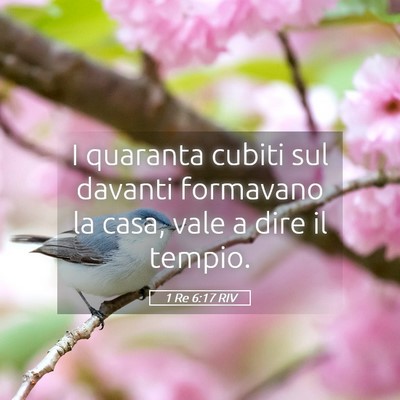 Picture 05 - 1 Re 6:17 RIV - I quaranta cubiti sul davanti formavano la casa, - Bible Verse Picture