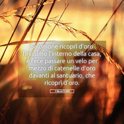 Picture 05 - 1 Re 6:21 RIV - Salomone ricoprì d’oro finissimo l’interno - Bible Verse Picture