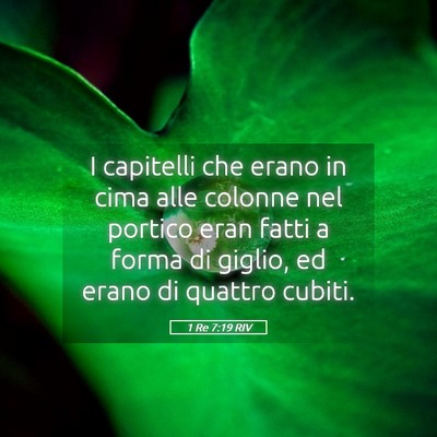 Picture 05 - 1 Re 7:19 RIV - I capitelli che erano in cima alle colonne nel - Bible Verse Picture