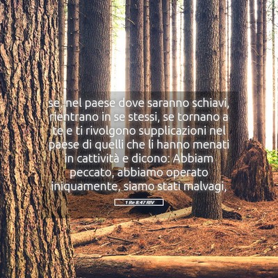 Picture 05 - 1 Re 8:47 RIV - se, nel paese dove saranno schiavi, rientrano in - Bible Verse Picture