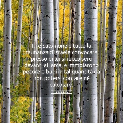 Picture 05 - 1 Re 8:5 RIV - Il re Salomone e tutta la raunanza d’Israele - Bible Verse Picture