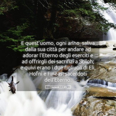 Picture 05 - 1 Samuele 1:3 RIV - E quest’uomo, ogni anno, saliva dalla sua - Bible Verse Picture