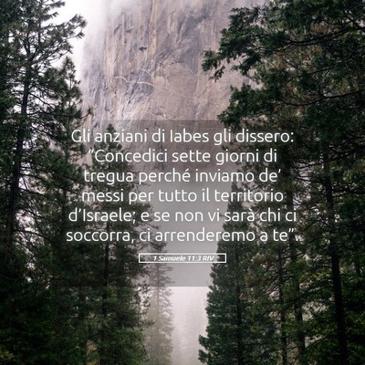Picture 05 - 1 Samuele 11:3 RIV - Gli anziani di Iabes gli dissero: “Concedici - Bible Verse Picture
