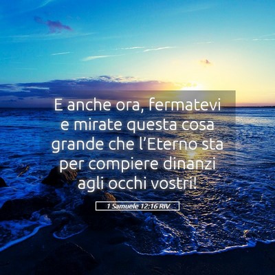 Picture 05 - 1 Samuele 12:16 RIV - E anche ora, fermatevi e mirate questa cosa - Bible Verse Picture