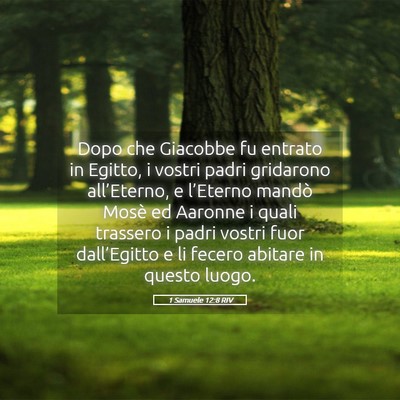 Picture 05 - 1 Samuele 12:8 RIV - Dopo che Giacobbe fu entrato in Egitto, i vostri - Bible Verse Picture
