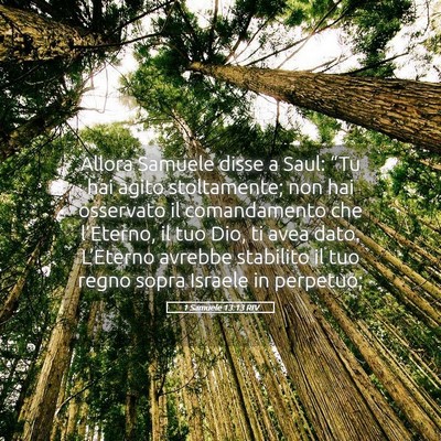 Picture 05 - 1 Samuele 13:13 RIV - Allora Samuele disse a Saul: “Tu hai agito - Bible Verse Picture