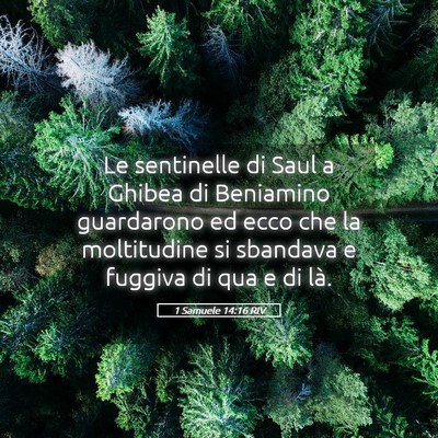 Picture 05 - 1 Samuele 14:16 RIV - Le sentinelle di Saul a Ghibea di Beniamino - Bible Verse Picture