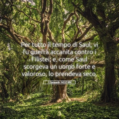 Picture 05 - 1 Samuele 14:52 RIV - Per tutto il tempo di Saul, vi fu guerra accanita - Bible Verse Picture